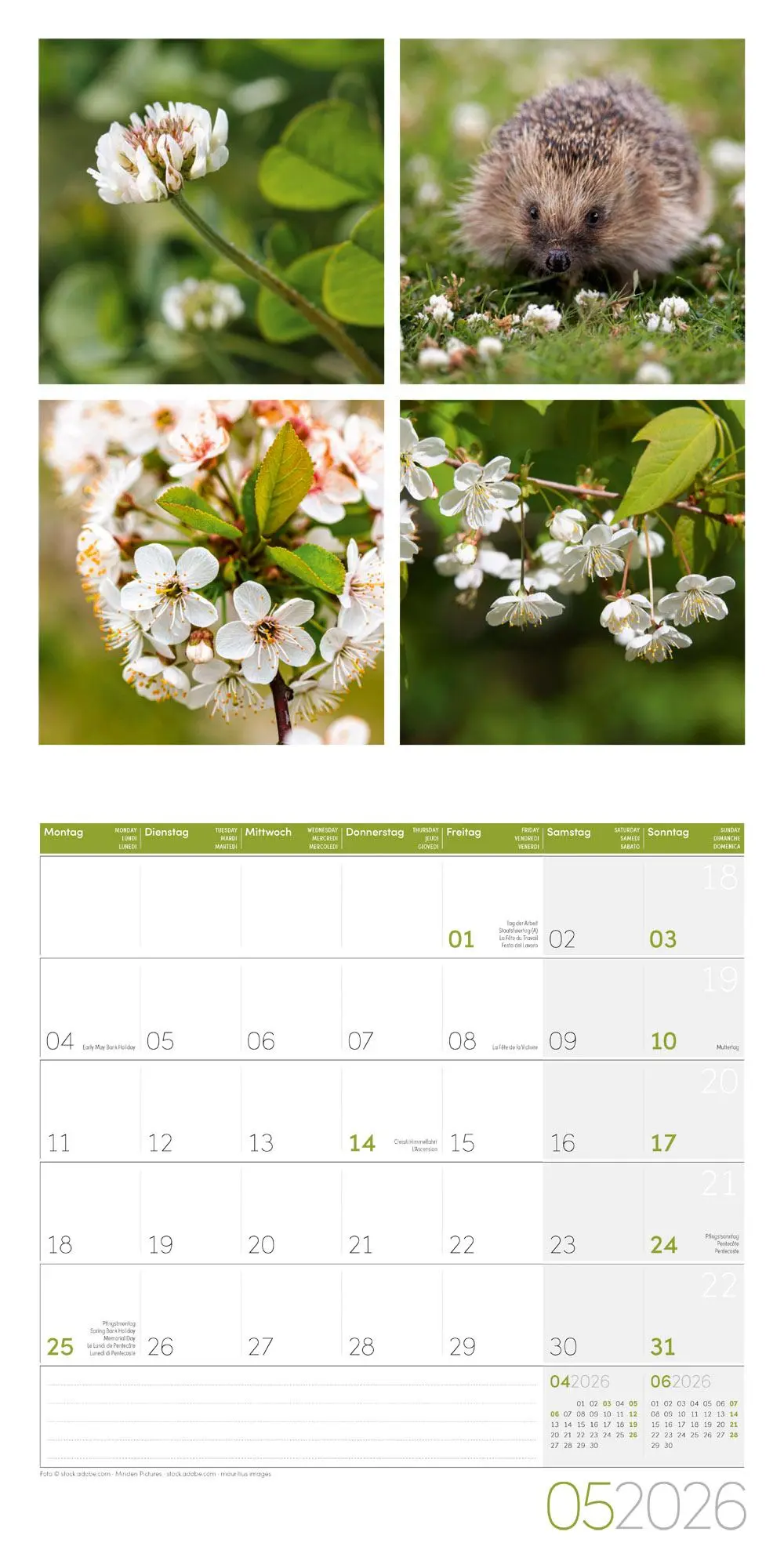 Bild: 9783838446011 | Colours of Nature Broschürenkalender 2026 - 30x30 - Art12 | GmbH
