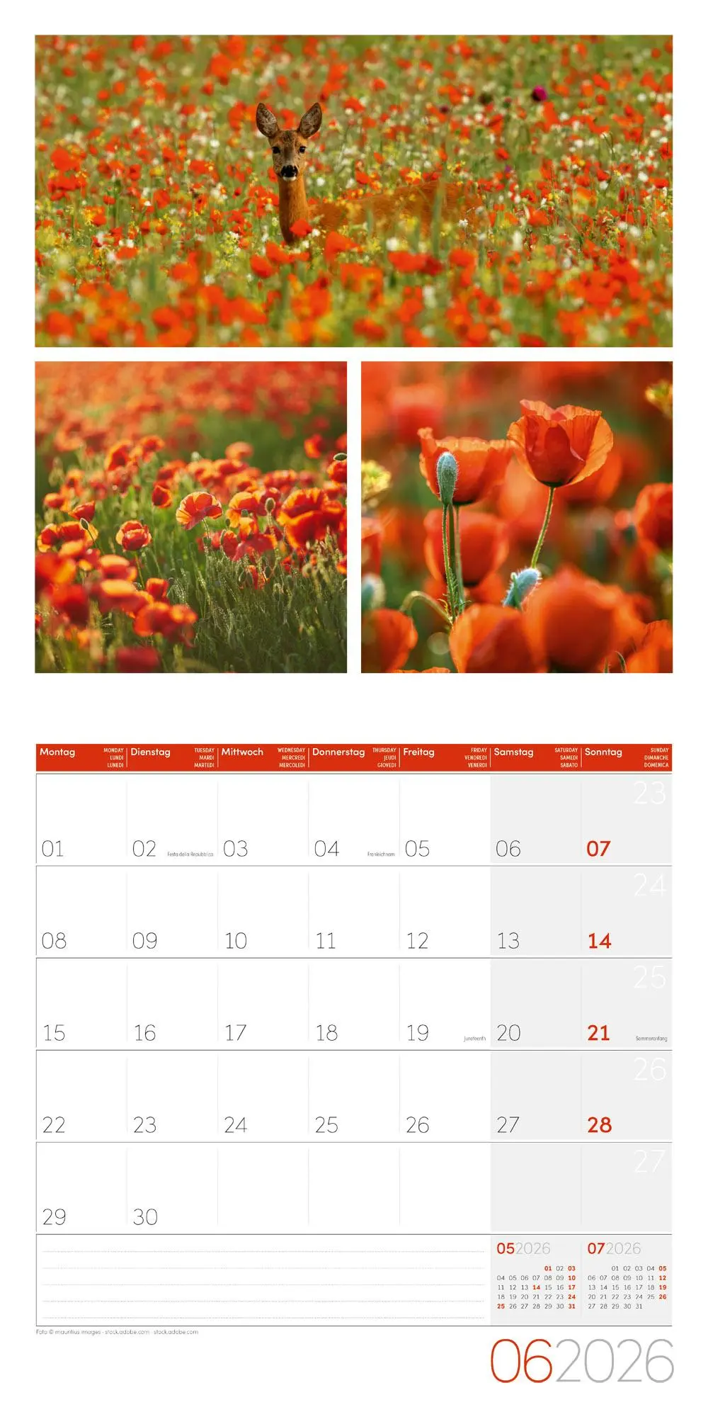 Bild: 9783838446011 | Colours of Nature Broschürenkalender 2026 - 30x30 - Art12 | GmbH