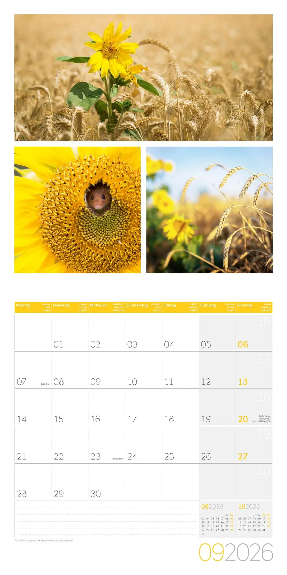 Bild: 9783838446011 | Colours of Nature Broschürenkalender 2026 - 30x30 - Art12 | GmbH
