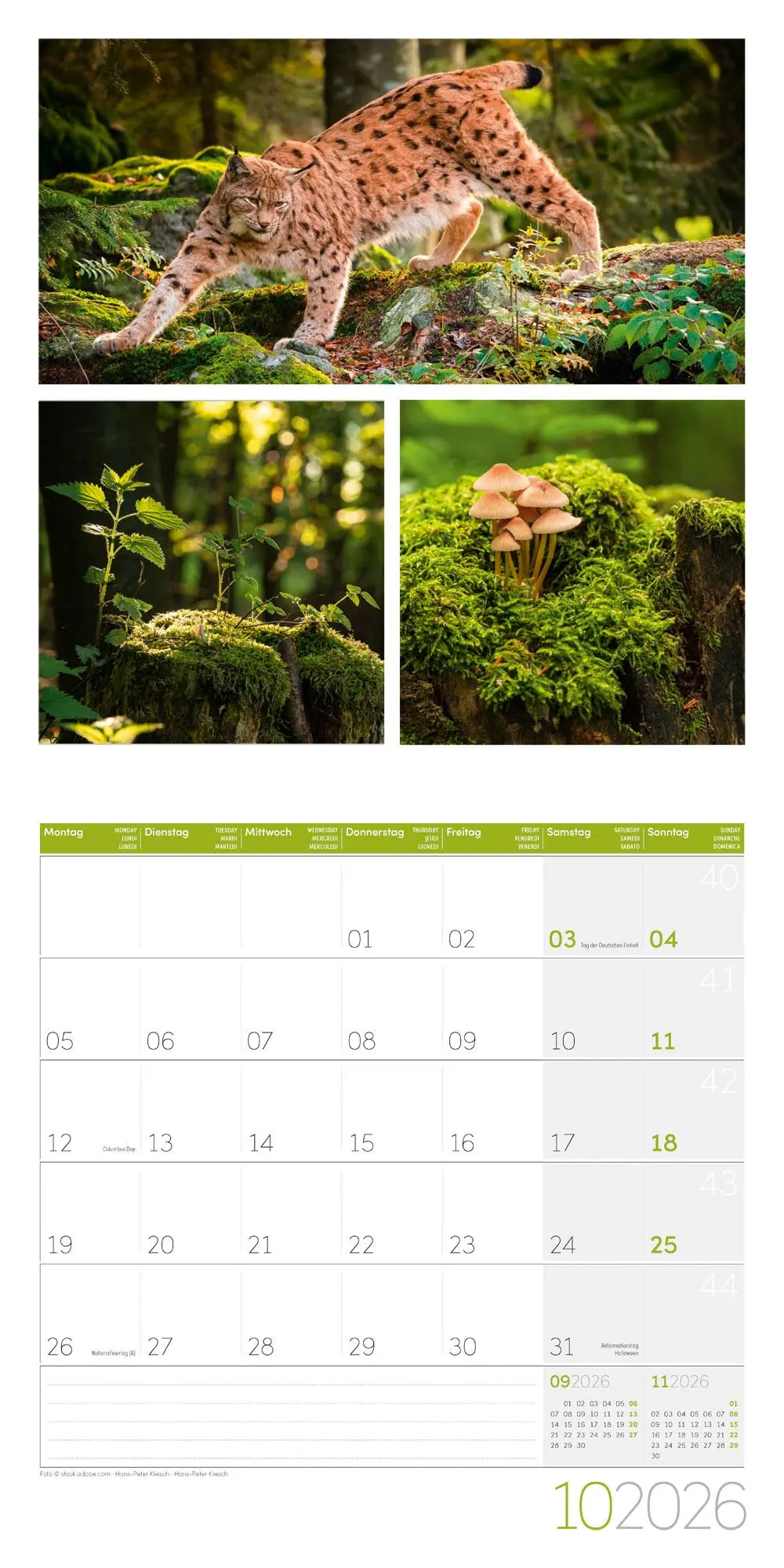 Bild: 9783838446011 | Colours of Nature Broschürenkalender 2026 - 30x30 - Art12 | GmbH