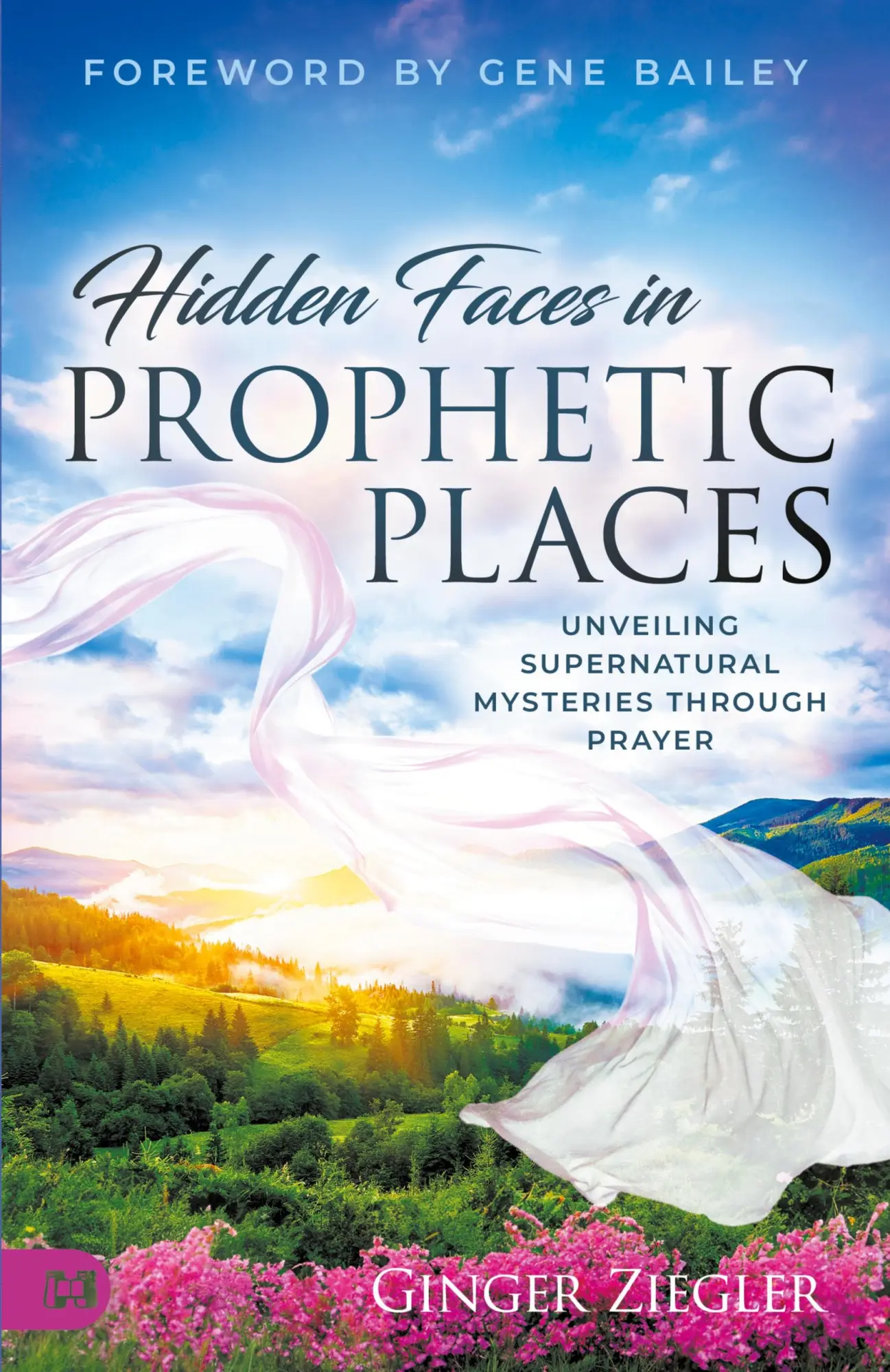 Cover: 9781667506111 | Hidden Faces in Prophetic Places | Ginger Ziegler | Taschenbuch | 2024
