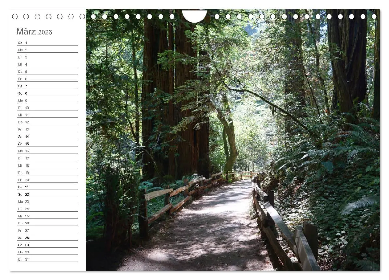 Bild: 9783457806111 | Kalifornien - wunderschöne Westküste (Wandkalender 2026 DIN A4...