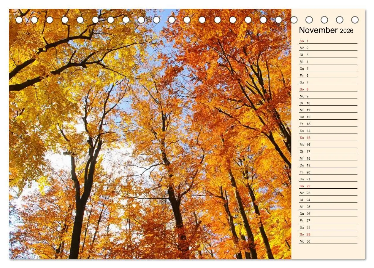 Bild: 9783457976111 | Riesengebirge (Tischkalender 2026 DIN A5 quer), CALVENDO...