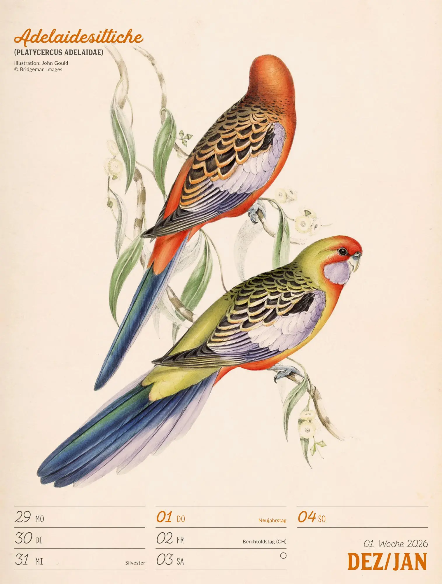 Bild: 9783838436111 | Wunderbare Vogelwelt Wochenplaner Kalender 2026 | GmbH | Kalender