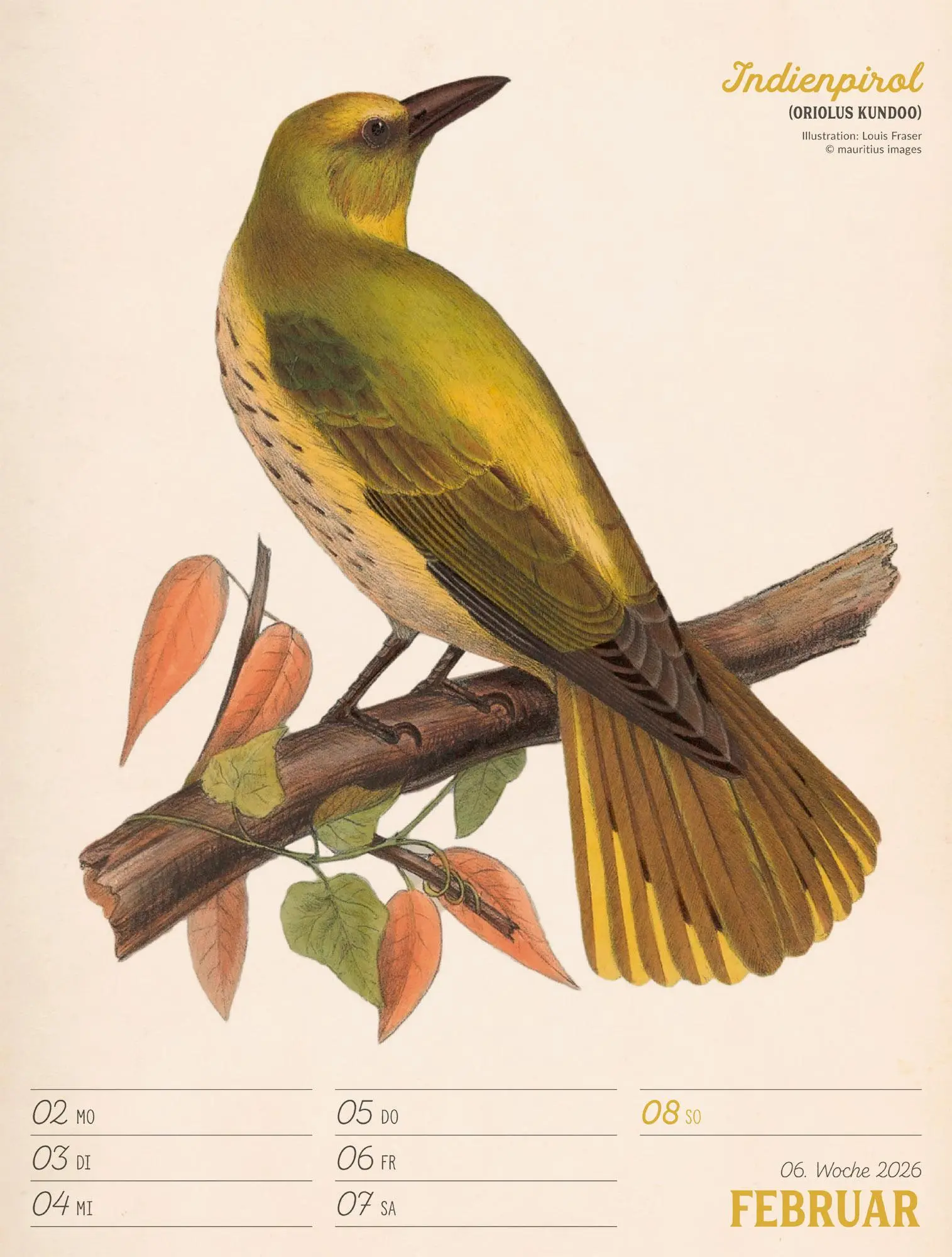 Bild: 9783838436111 | Wunderbare Vogelwelt Wochenplaner Kalender 2026 | GmbH | Kalender