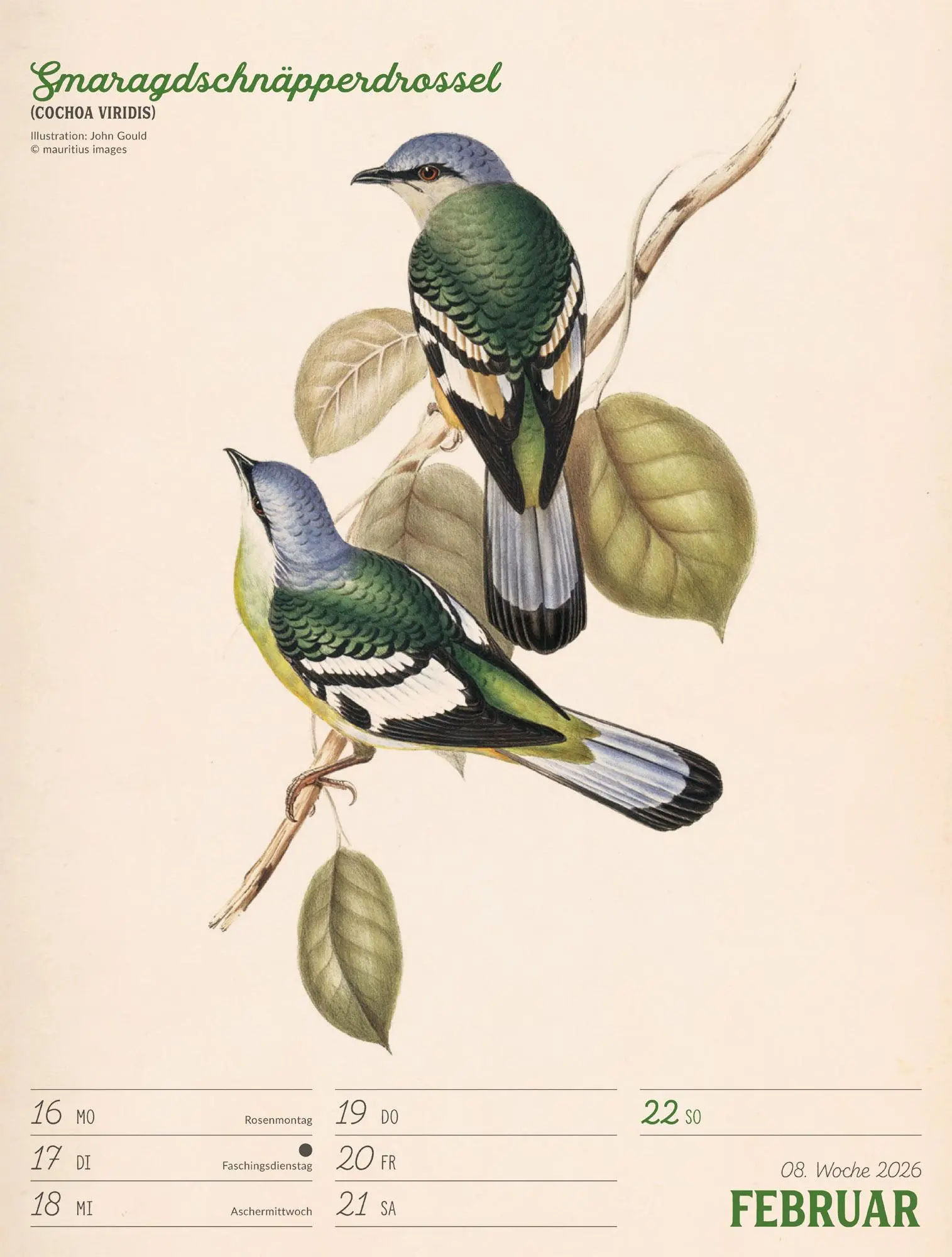 Bild: 9783838436111 | Wunderbare Vogelwelt Wochenplaner Kalender 2026 | GmbH | Kalender
