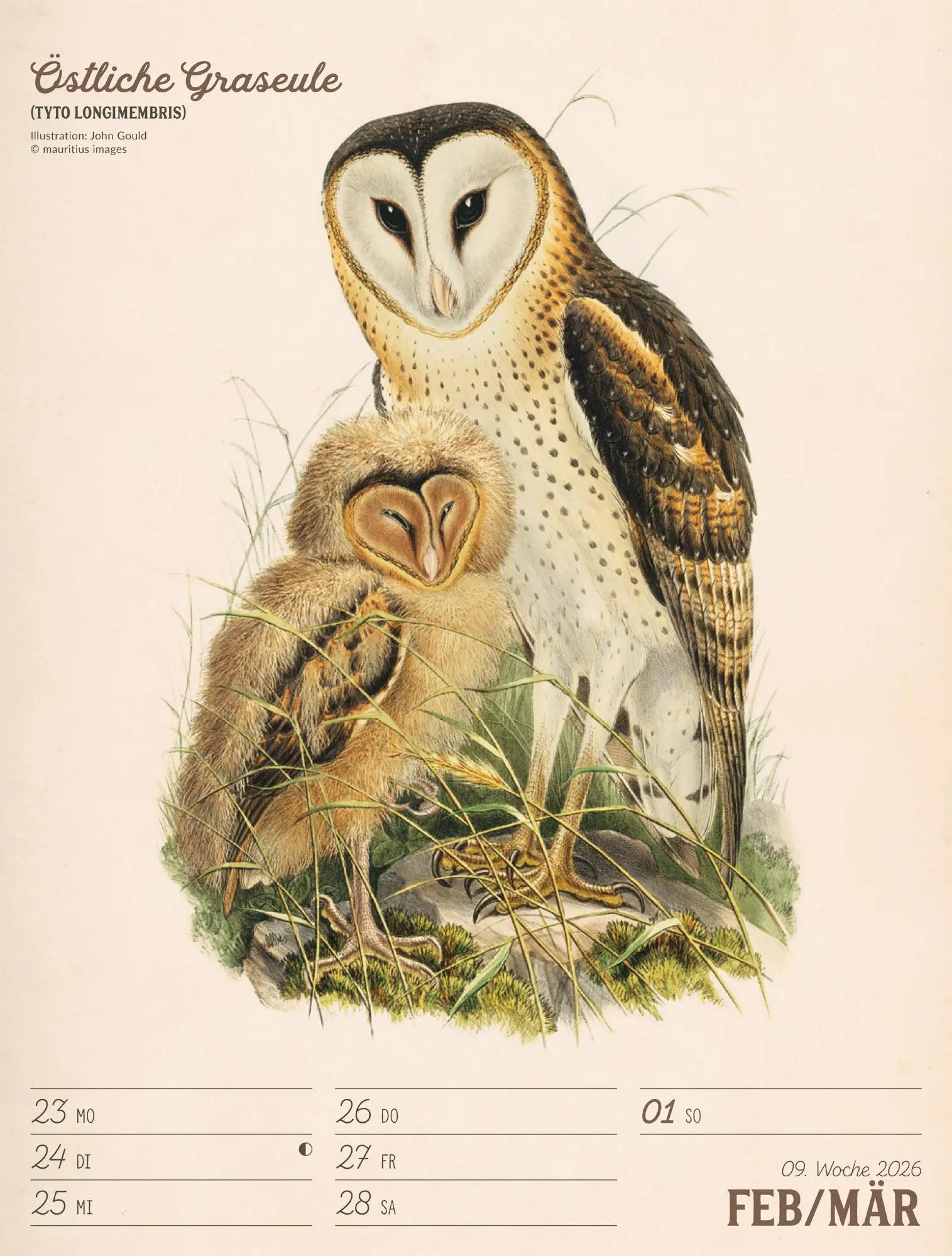 Bild: 9783838436111 | Wunderbare Vogelwelt Wochenplaner Kalender 2026 | GmbH | Kalender