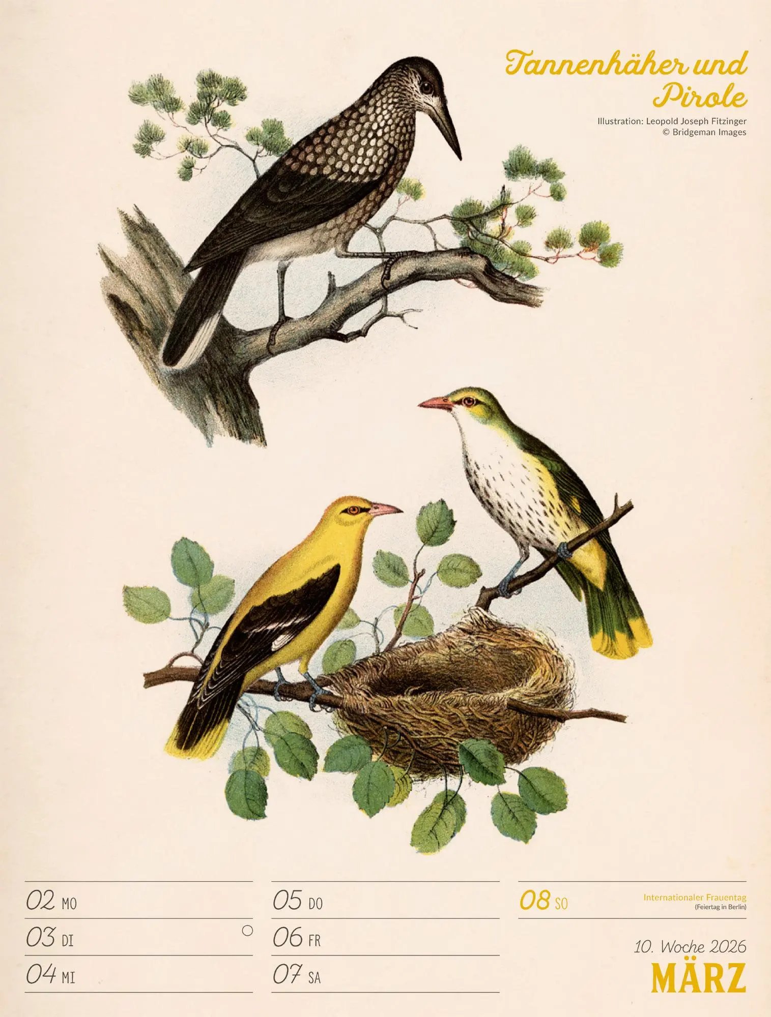 Bild: 9783838436111 | Wunderbare Vogelwelt Wochenplaner Kalender 2026 | GmbH | Kalender