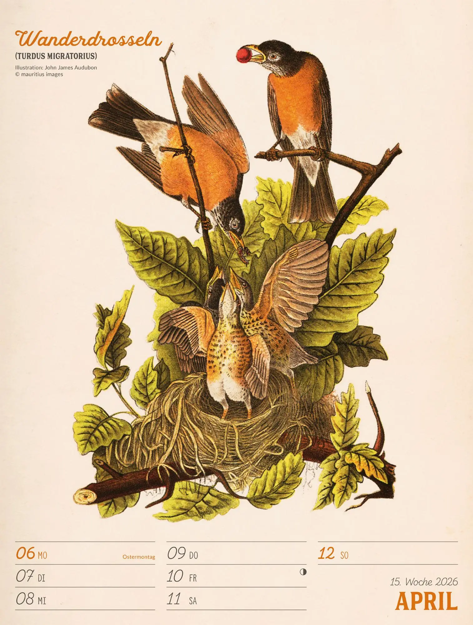 Bild: 9783838436111 | Wunderbare Vogelwelt Wochenplaner Kalender 2026 | GmbH | Kalender