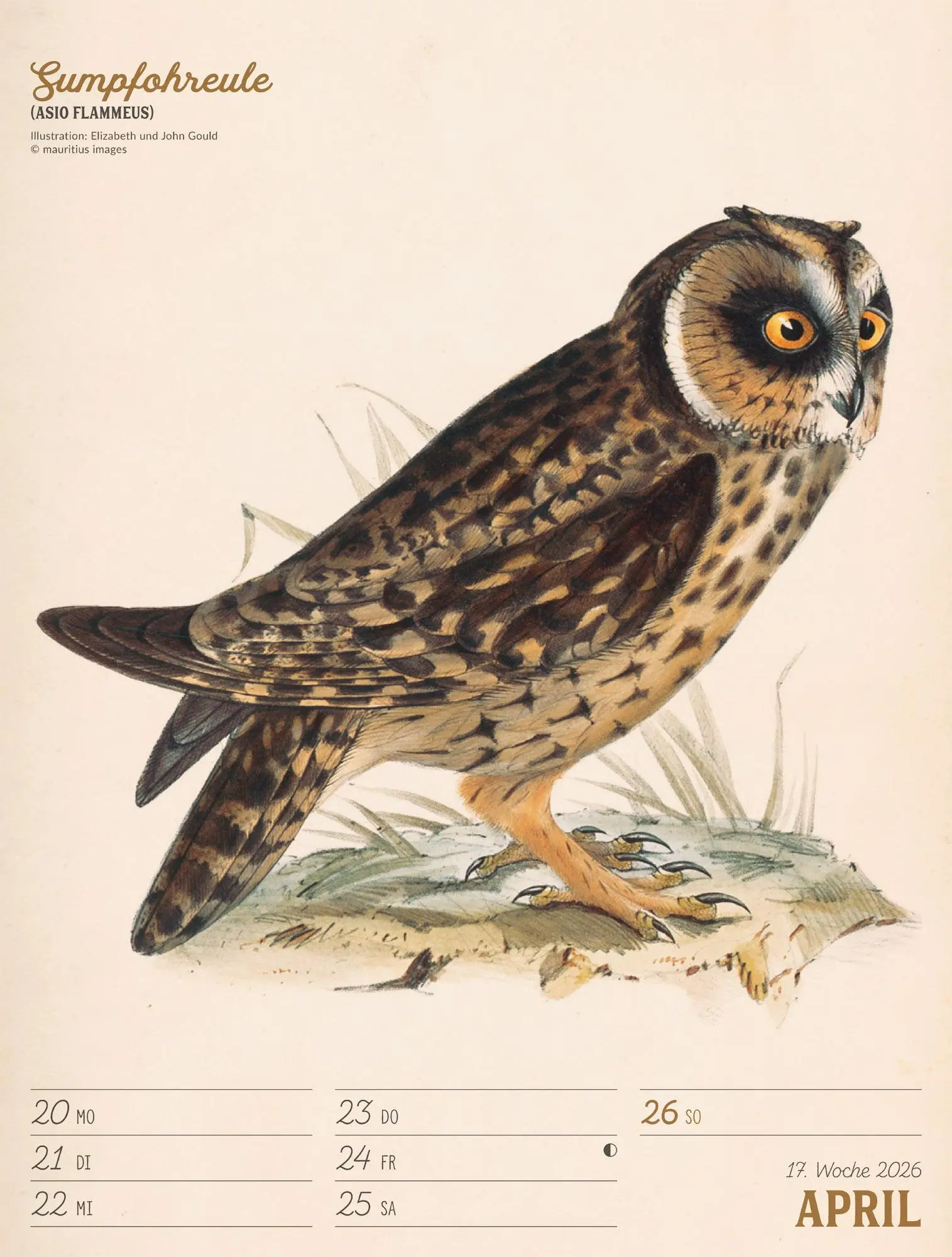 Bild: 9783838436111 | Wunderbare Vogelwelt Wochenplaner Kalender 2026 | GmbH | Kalender