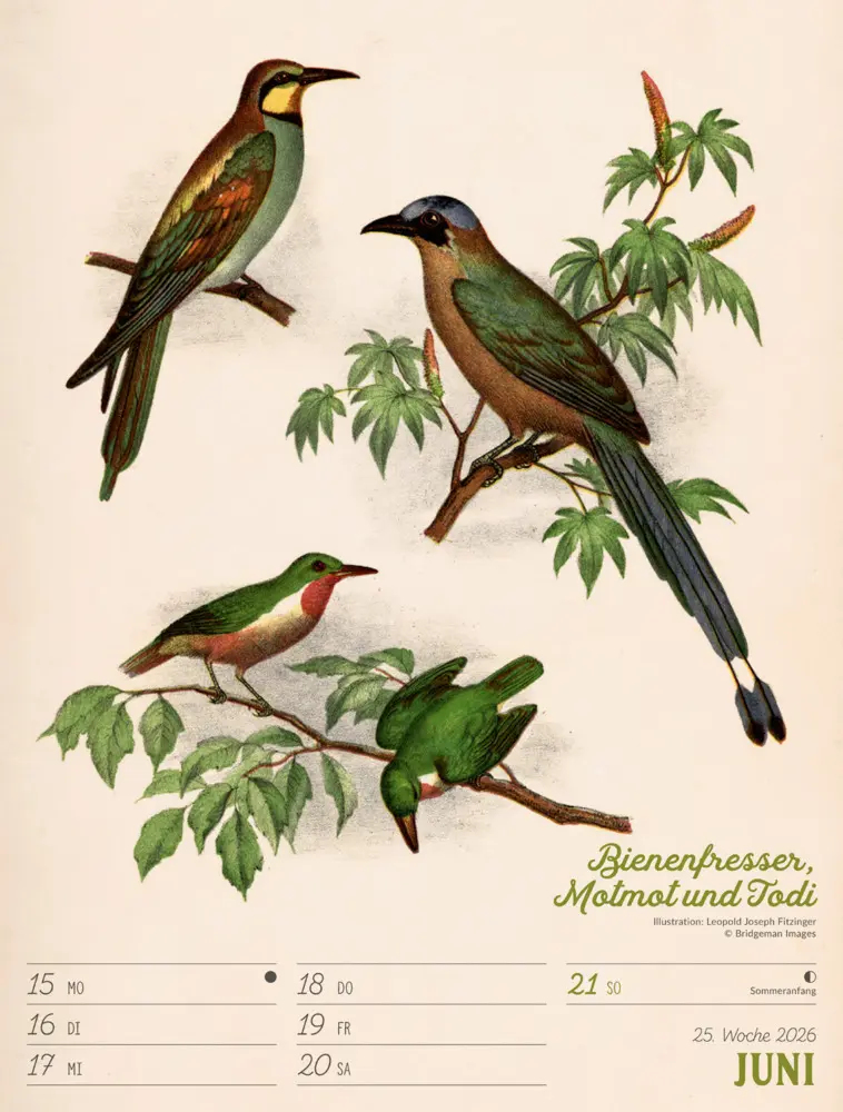 Bild: 9783838436111 | Wunderbare Vogelwelt Wochenplaner Kalender 2026 | GmbH | Kalender
