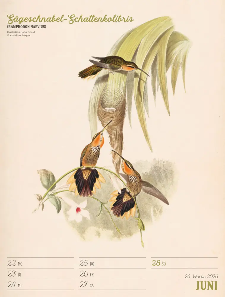Bild: 9783838436111 | Wunderbare Vogelwelt Wochenplaner Kalender 2026 | GmbH | Kalender