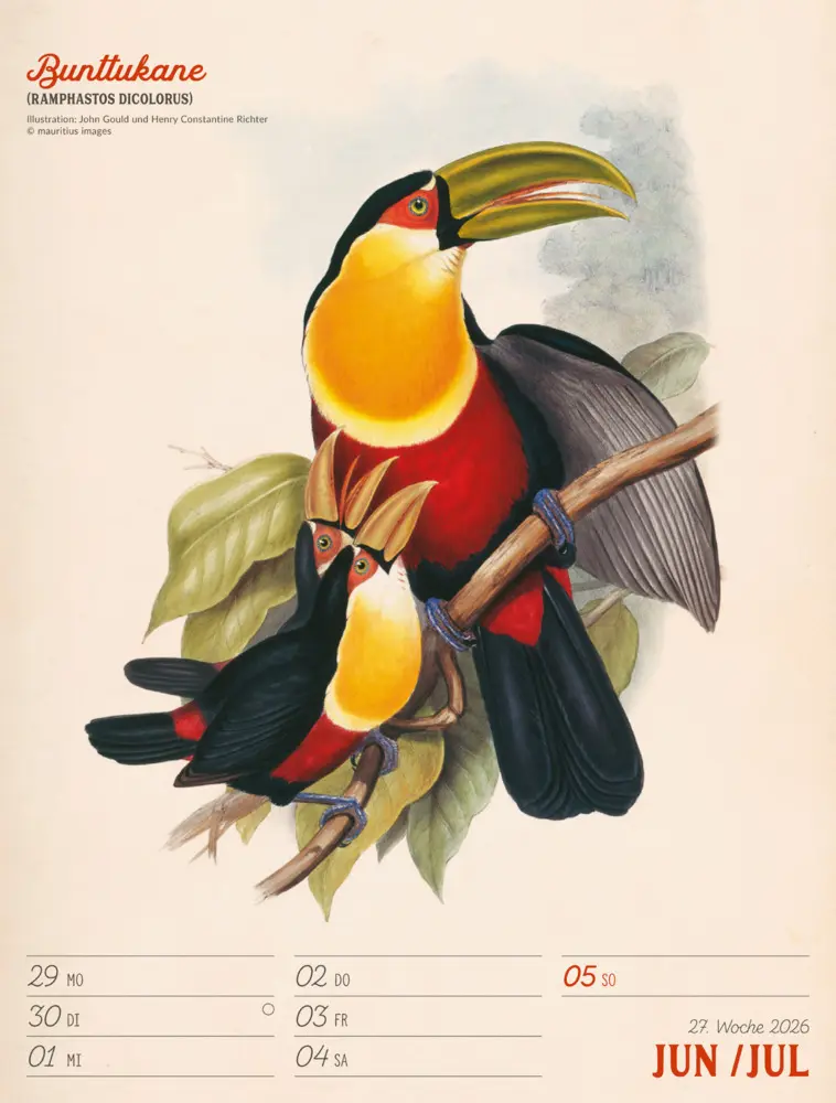 Bild: 9783838436111 | Wunderbare Vogelwelt Wochenplaner Kalender 2026 | GmbH | Kalender