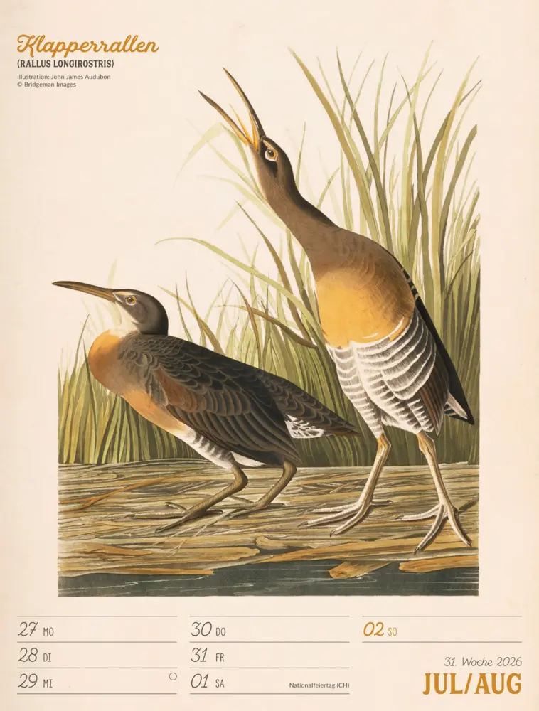 Bild: 9783838436111 | Wunderbare Vogelwelt Wochenplaner Kalender 2026 | GmbH | Kalender