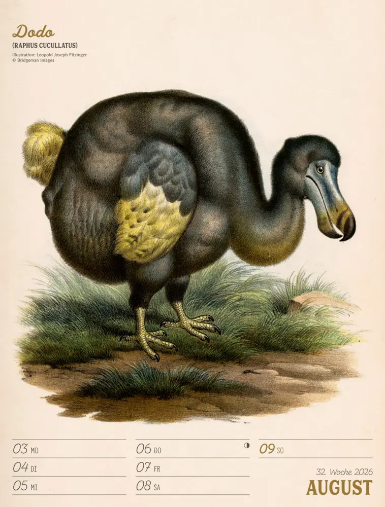 Bild: 9783838436111 | Wunderbare Vogelwelt Wochenplaner Kalender 2026 | GmbH | Kalender