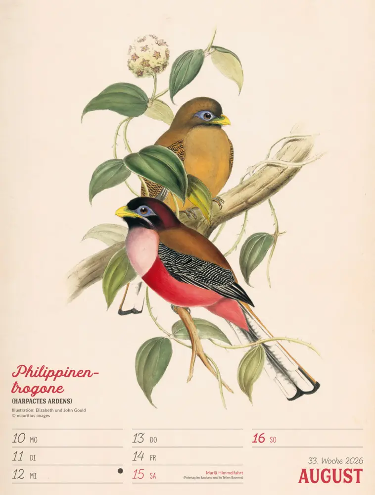 Bild: 9783838436111 | Wunderbare Vogelwelt Wochenplaner Kalender 2026 | GmbH | Kalender