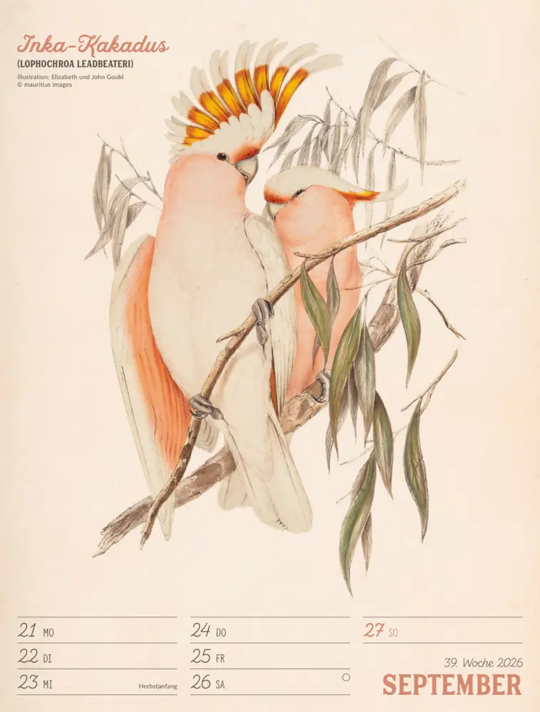 Bild: 9783838436111 | Wunderbare Vogelwelt Wochenplaner Kalender 2026 | GmbH | Kalender