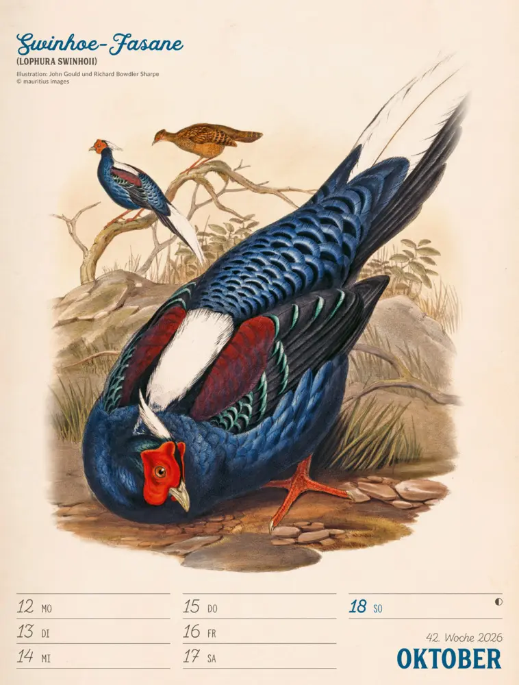 Bild: 9783838436111 | Wunderbare Vogelwelt Wochenplaner Kalender 2026 | GmbH | Kalender