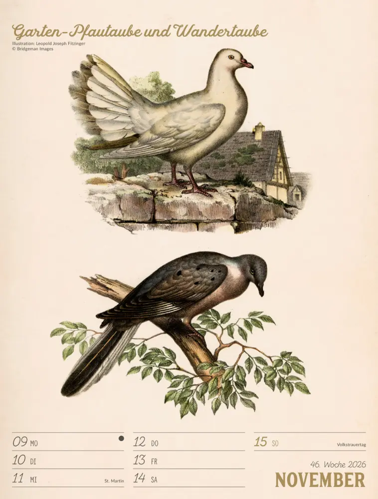 Bild: 9783838436111 | Wunderbare Vogelwelt Wochenplaner Kalender 2026 | GmbH | Kalender
