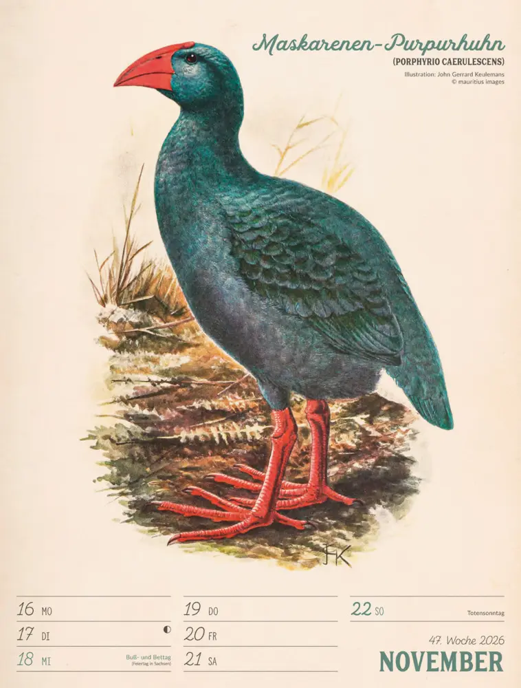 Bild: 9783838436111 | Wunderbare Vogelwelt Wochenplaner Kalender 2026 | GmbH | Kalender