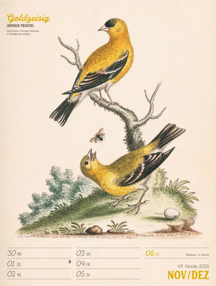 Bild: 9783838436111 | Wunderbare Vogelwelt Wochenplaner Kalender 2026 | GmbH | Kalender