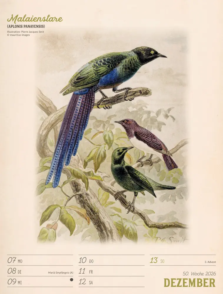 Bild: 9783838436111 | Wunderbare Vogelwelt Wochenplaner Kalender 2026 | GmbH | Kalender