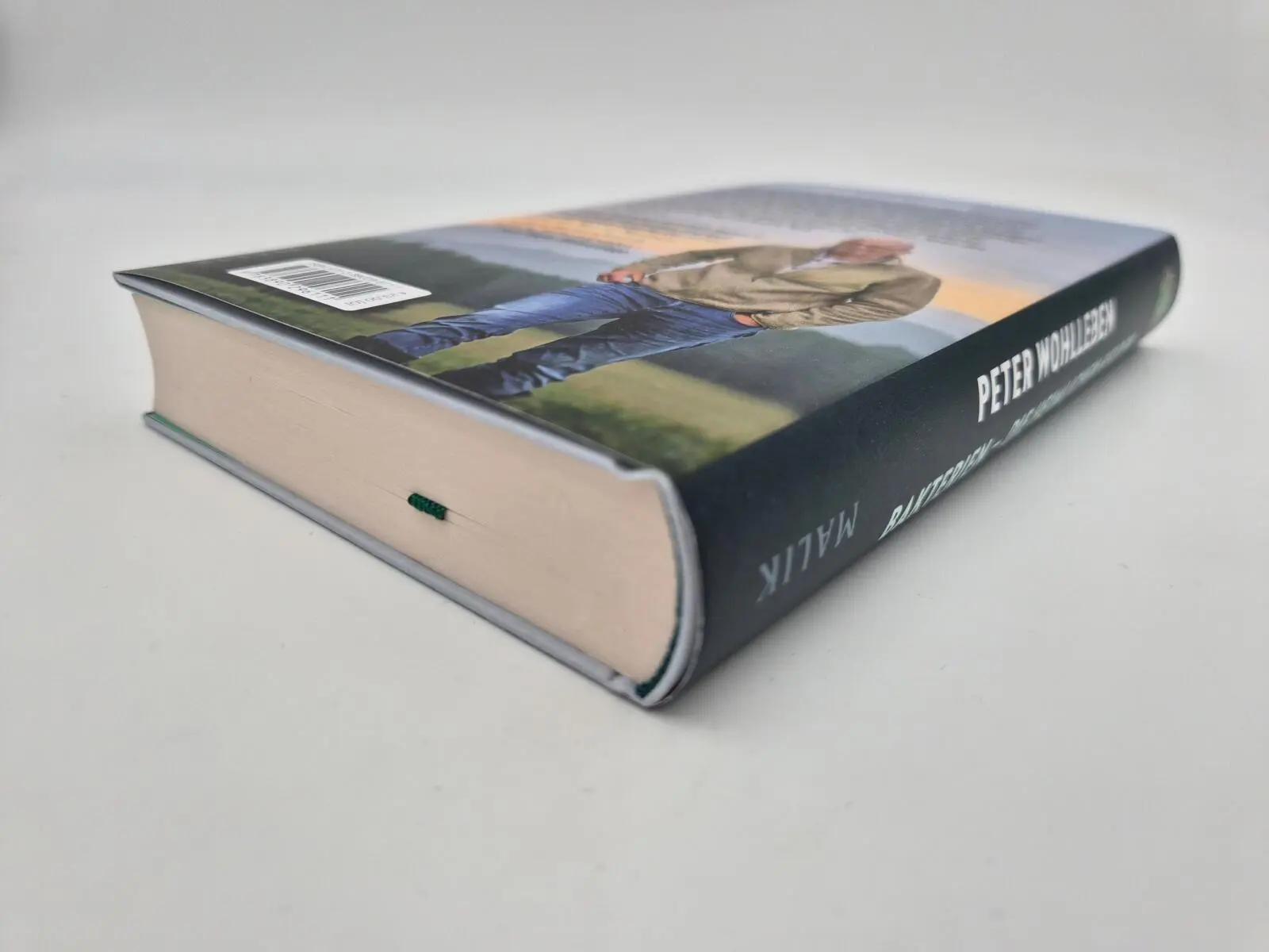 Bild: 9783890296111 | Bakterien - die heimlichen Helden | Peter Wohlleben | Buch | 320 S.