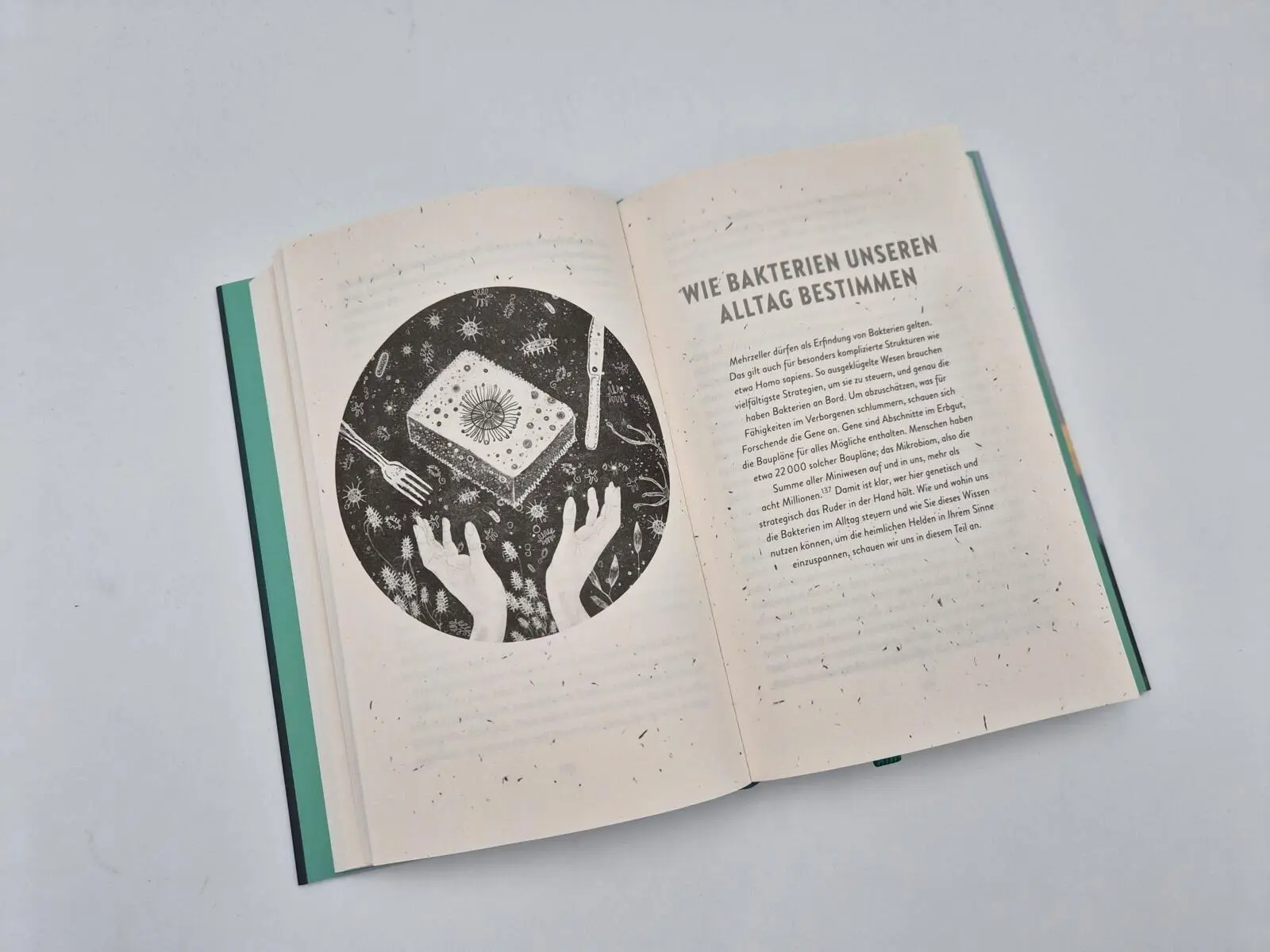 Bild: 9783890296111 | Bakterien - die heimlichen Helden | Peter Wohlleben | Buch | 320 S.