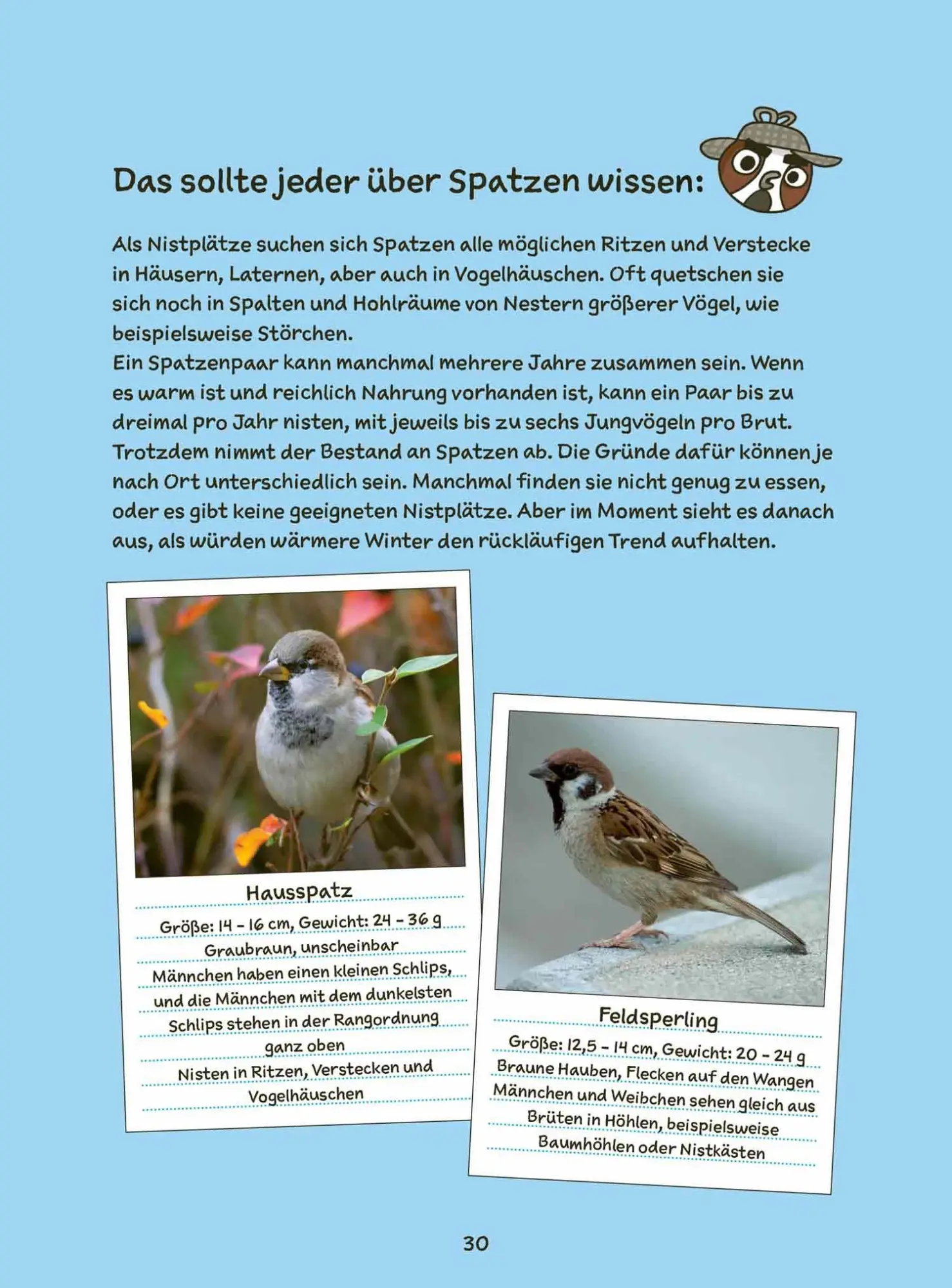 Bild: 9783949866111 | Detektiv Spatz und die gebrochene Feder | Tomasz Samojlik (u. a.)