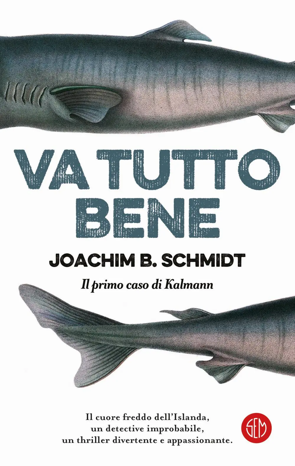 Cover: 9788893906111 | Va tutto bene. Il primo caso di Kalmann | Joachim B. Schmidt | Buch