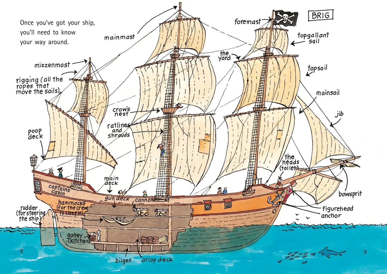Bild: 9780007186211 | How to be a Pirate | Band 09/Gold | Scoular Anderson | Taschenbuch