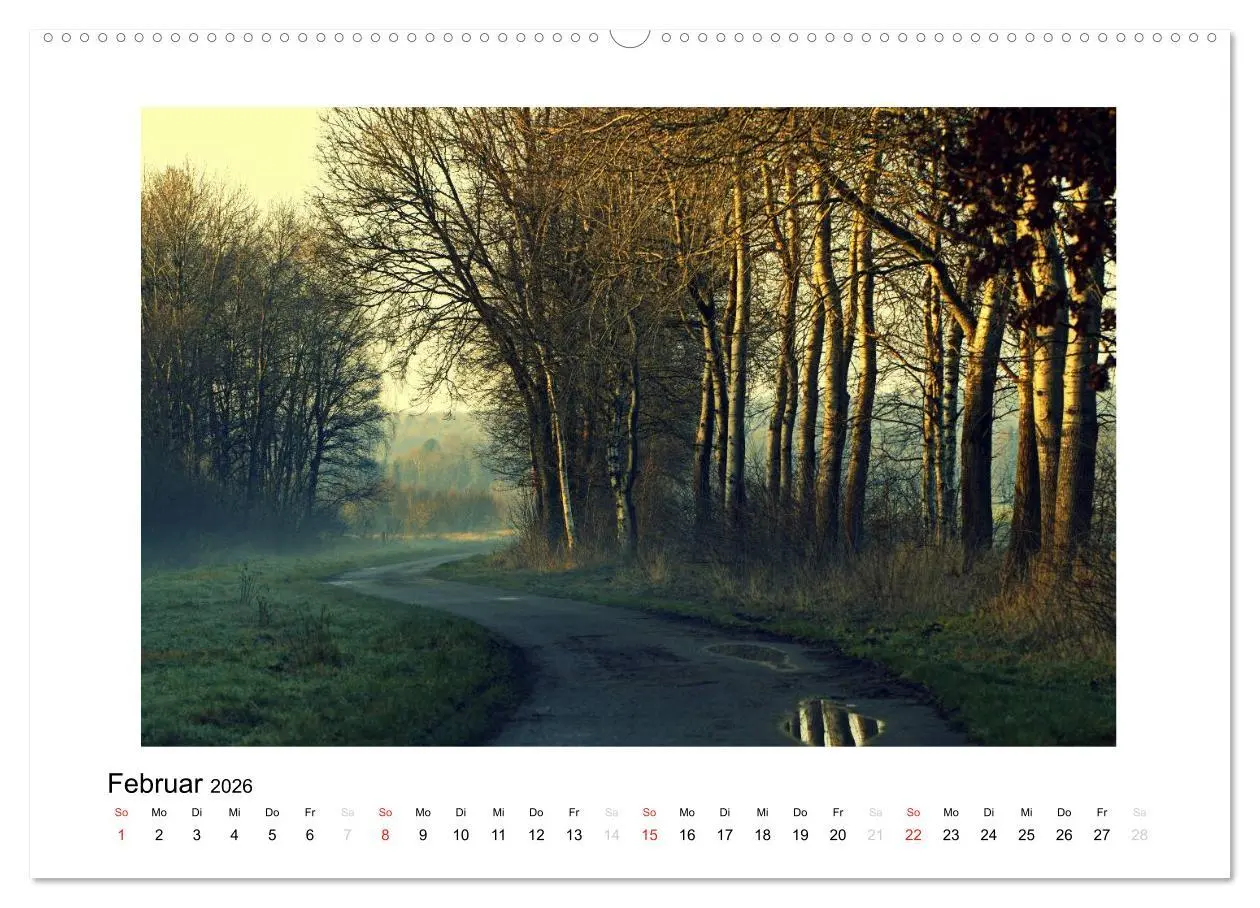 Bild: 9783457966211 | Winter im Teufelsmoor (Wandkalender 2026 DIN A2 quer), CALVENDO...
