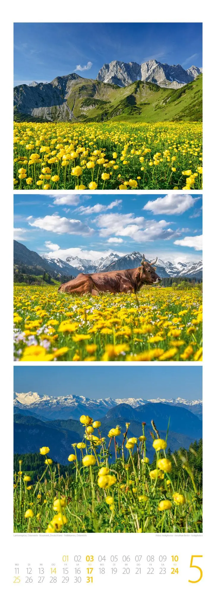 Bild: 9783838426211 | Bergzeit Triplet-Kalender 2026 | Ackermann Kunstverlag GmbH | Kalender