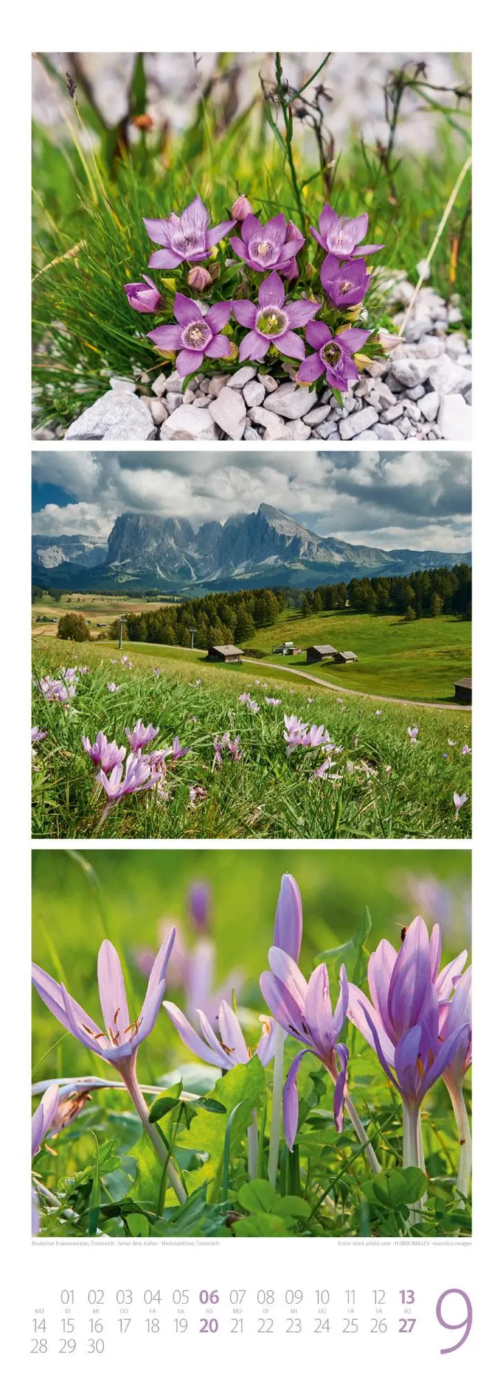 Bild: 9783838426211 | Bergzeit Triplet-Kalender 2026 | Ackermann Kunstverlag GmbH | Kalender