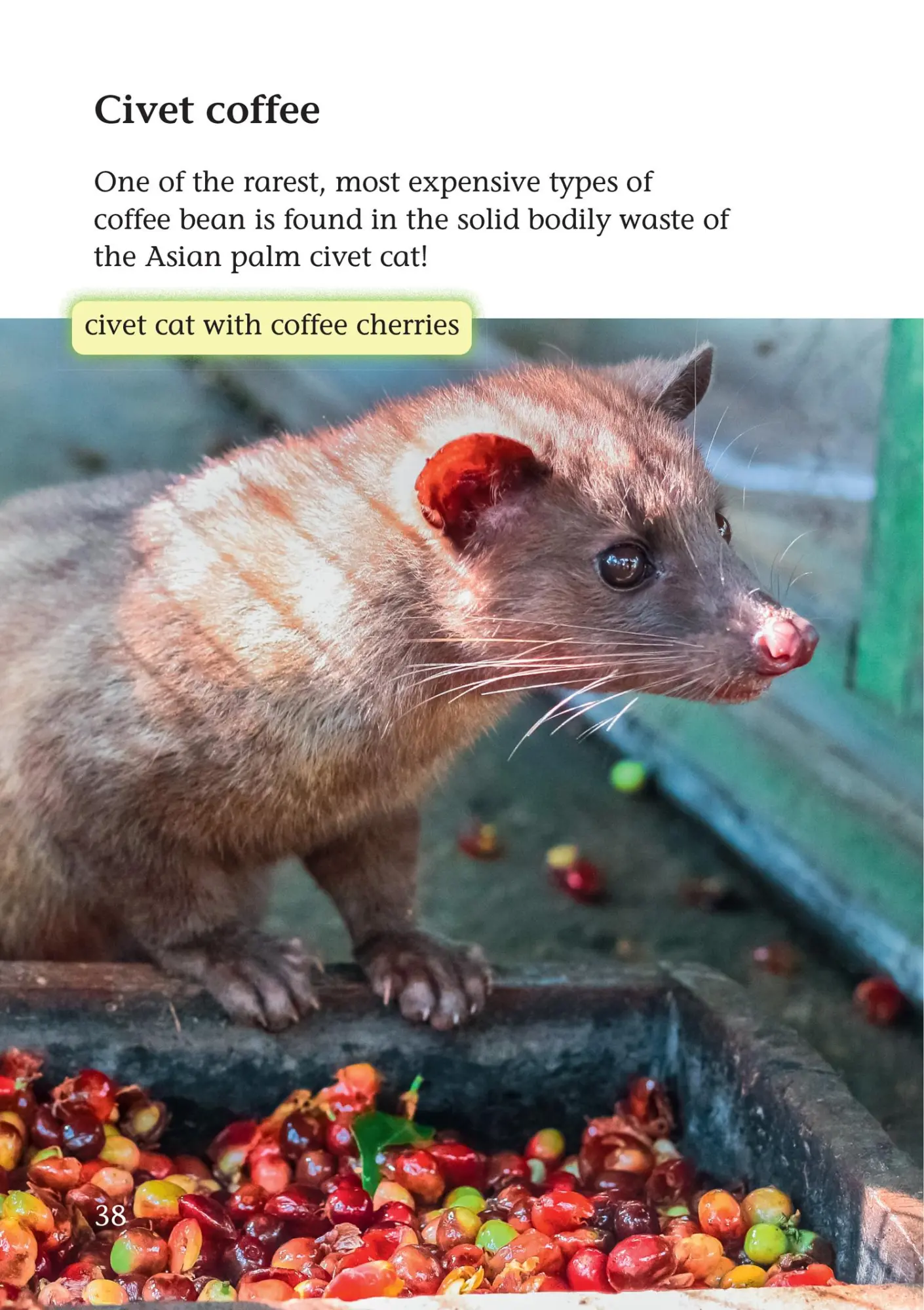 Bild: 9780008476311 | Yuck: Disgusting things that are surprisingly useful | Mio Debnam