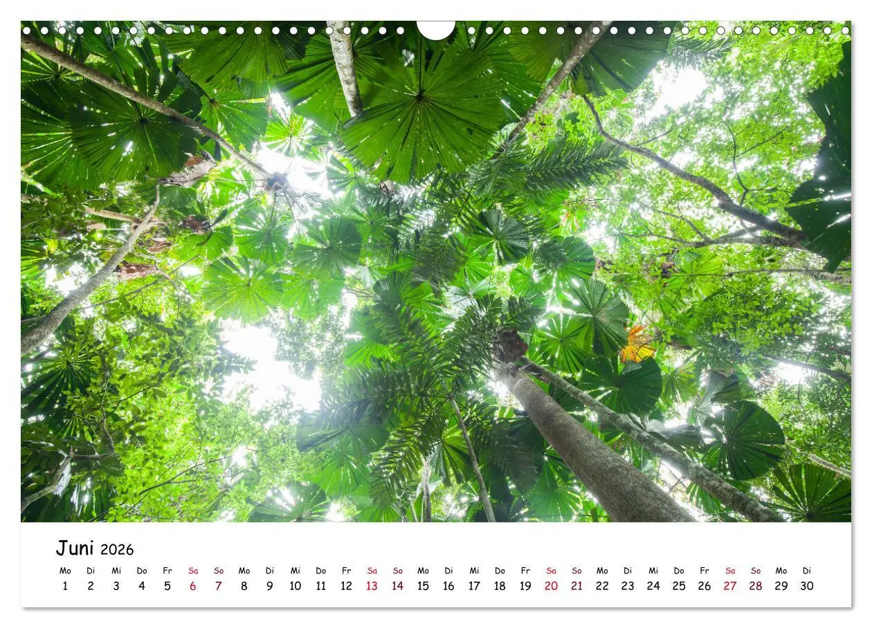 Bild: 9783457646311 | Australiens Schönheit (Wandkalender 2026 DIN A3 quer), CALVENDO...
