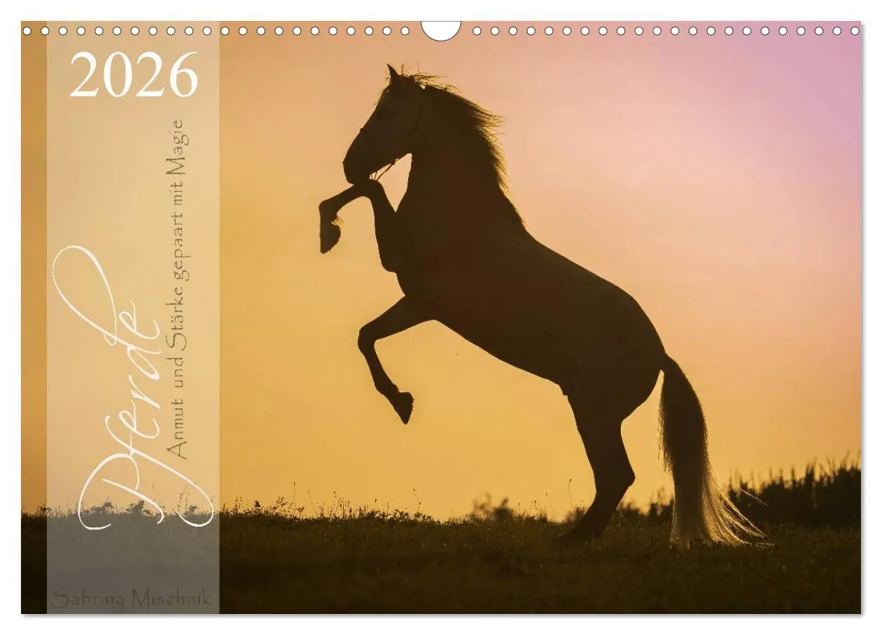 Cover: 9783516116311 | Pferde - Anmut und Stärke gepaart mit Magie (Wandkalender 2026 DIN...