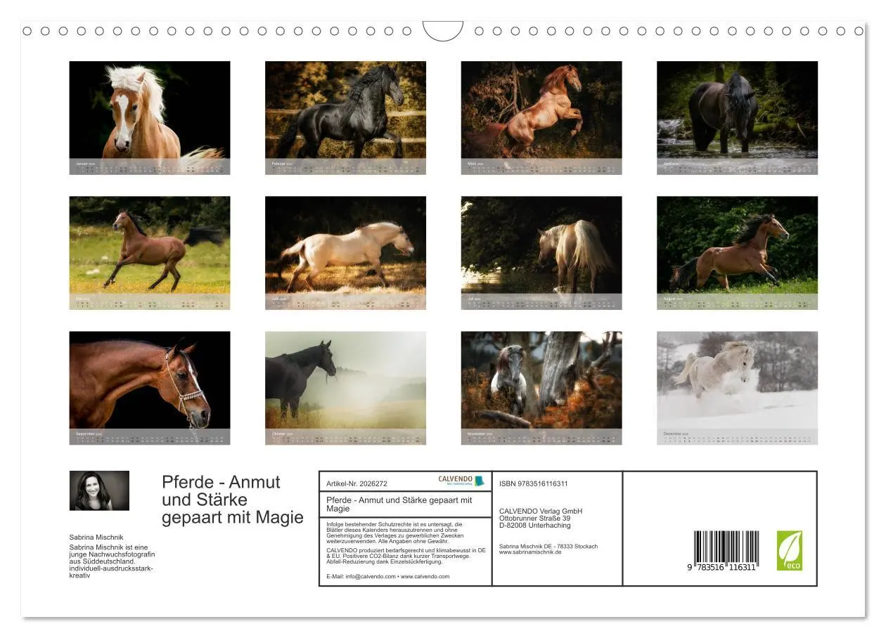 Bild: 9783516116311 | Pferde - Anmut und Stärke gepaart mit Magie (Wandkalender 2026 DIN...