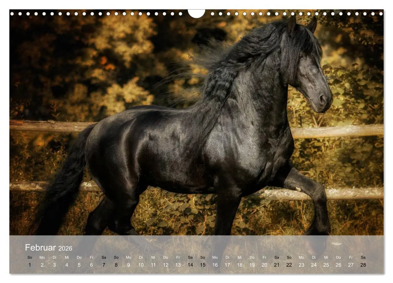 Bild: 9783516116311 | Pferde - Anmut und Stärke gepaart mit Magie (Wandkalender 2026 DIN...