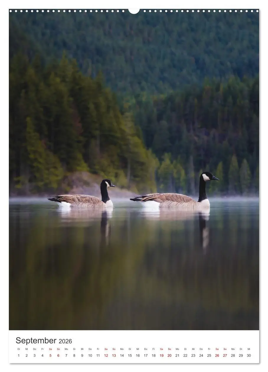 Bild: 9783516356311 | Kanada - Zwischen Atlantik und Pazifik. (hochwertiger Premium...