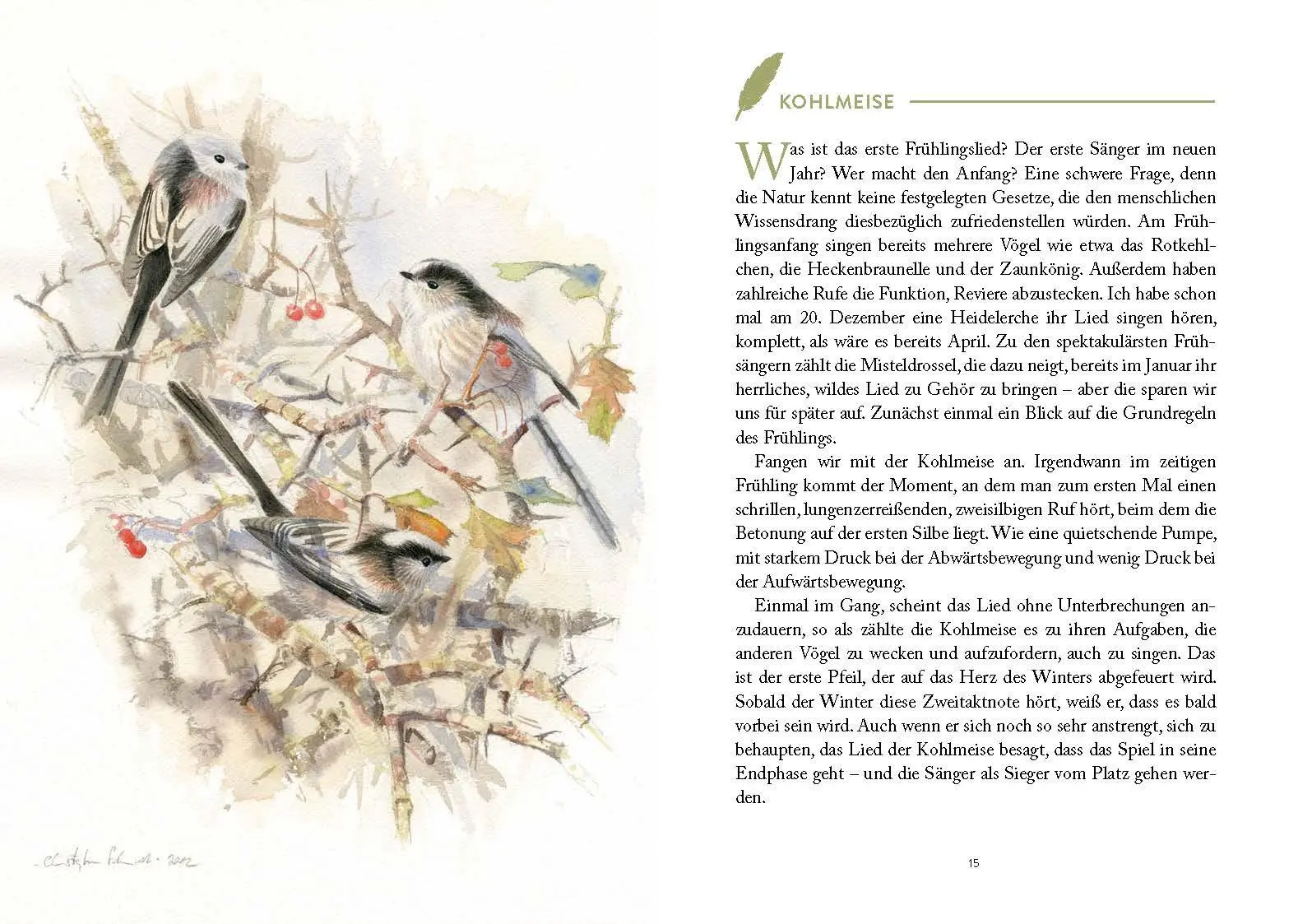 Bild: 9783841906311 | Vom Glück einen Vogel am Gesang zu erkennen | Simon Barnes | Buch