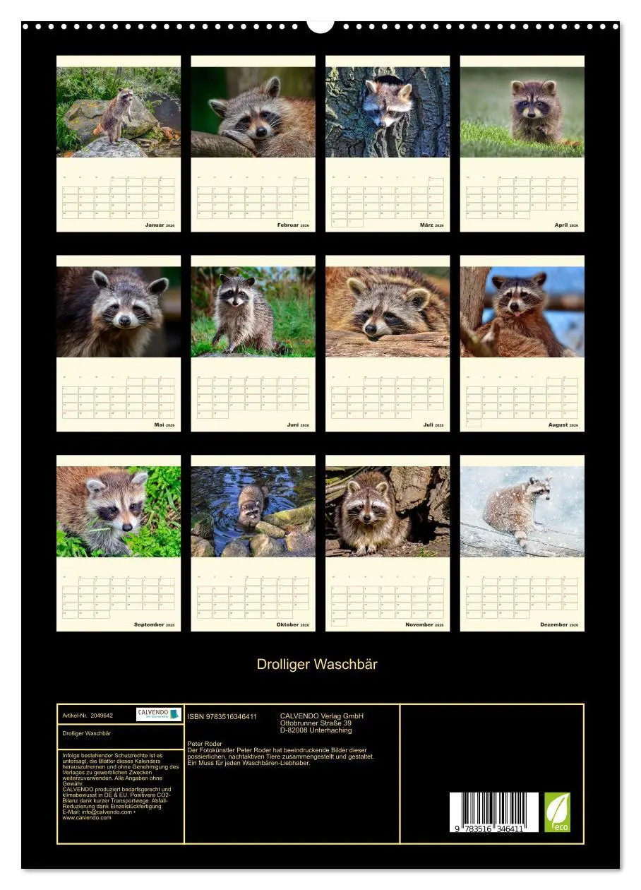 Bild: 9783516346411 | Drolliger Waschbär (hochwertiger Premium Wandkalender 2026 DIN A2...