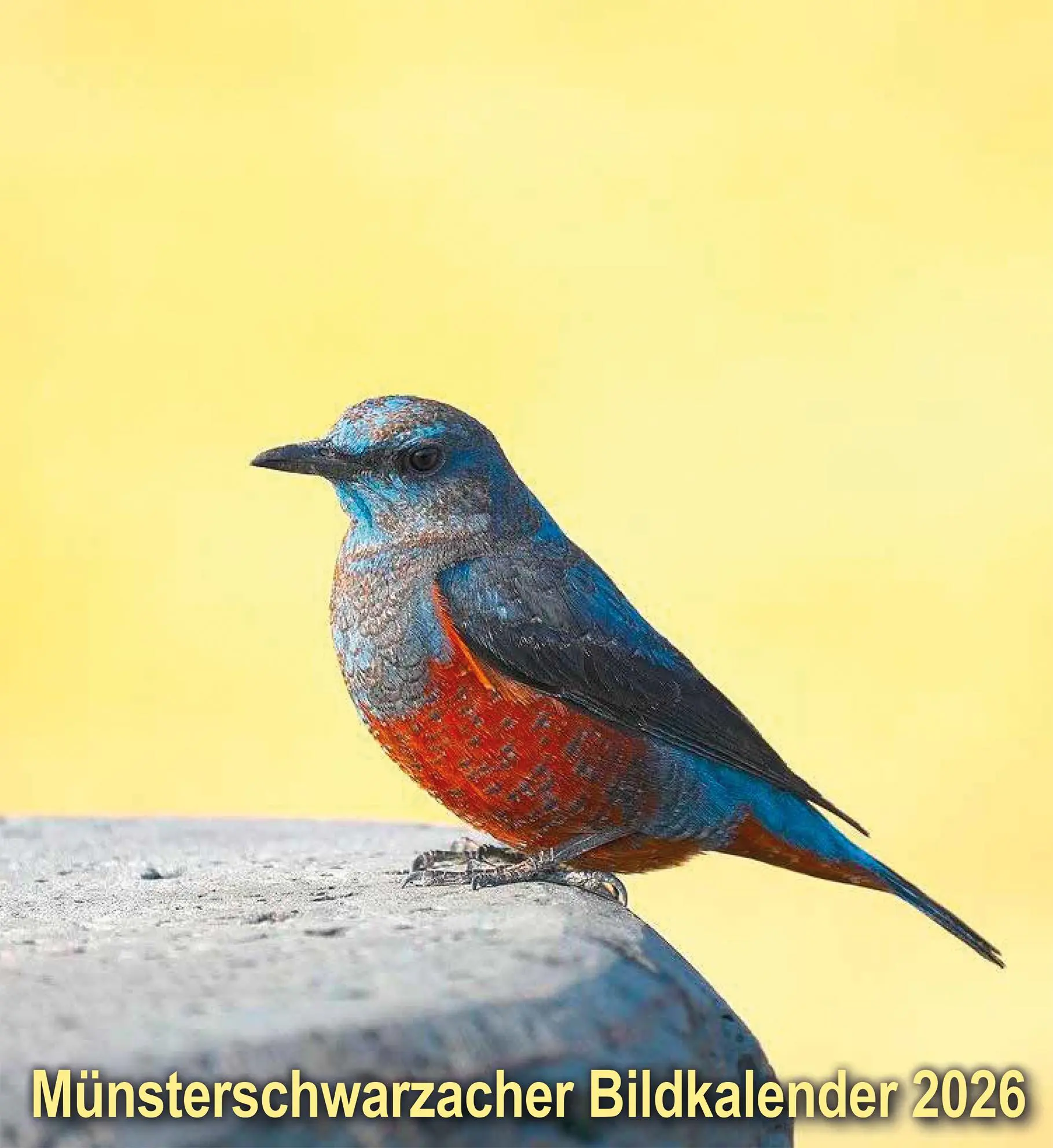 Cover: 9783736506411 | Münsterschwarzacher Bildkalender 2026 | Abtei Münsterschwarzach | 2026