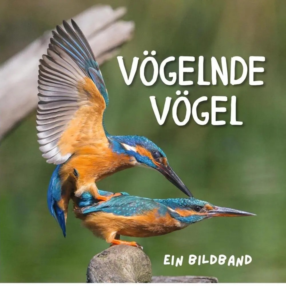 Cover: 9783750506411 | Vögelnde Vögel | Ein Bildband | Tim Fröhlich | Taschenbuch | 42 S.