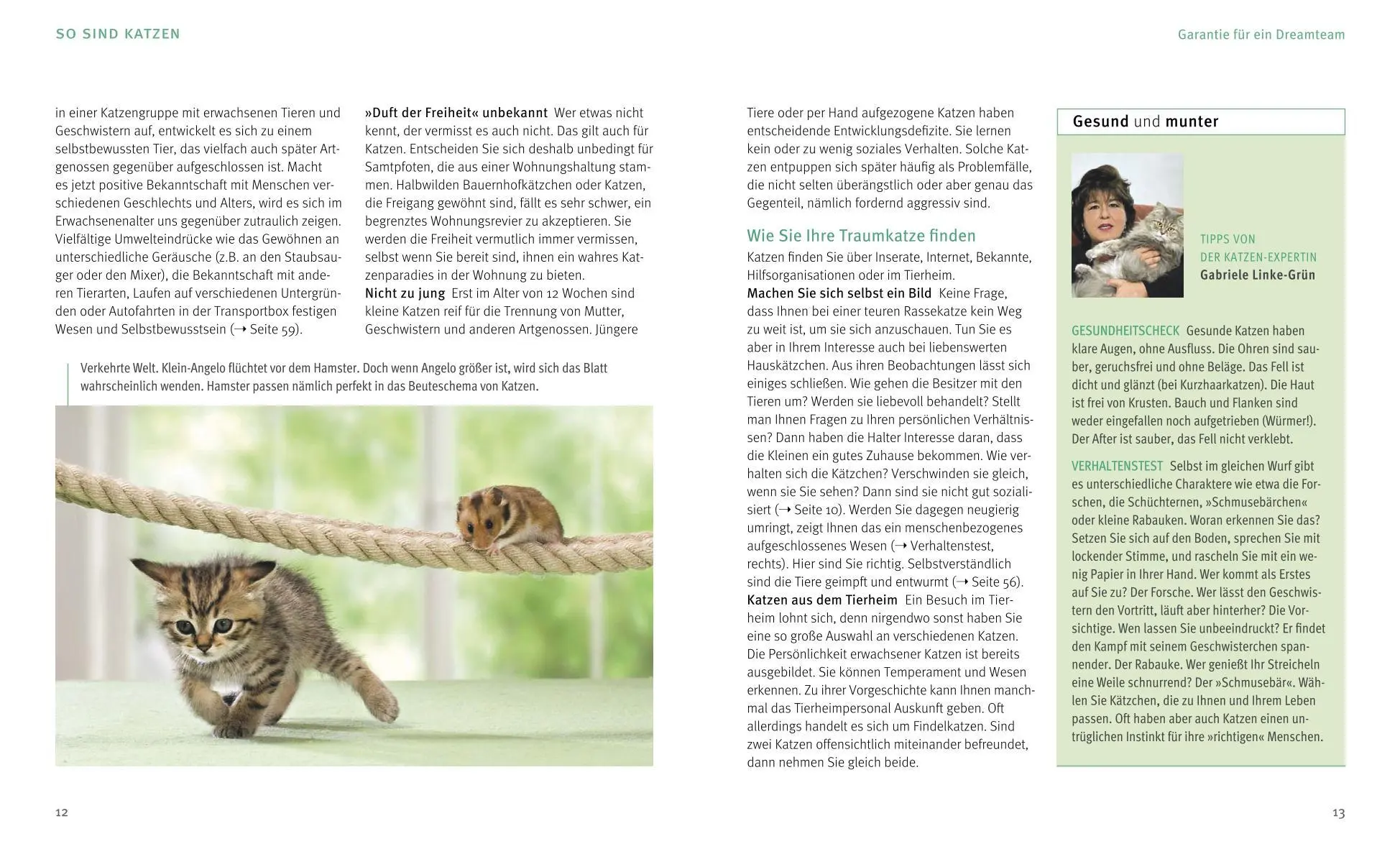 Bild: 9783833836411 | Wohnungskatzen | Wohlfühl-Basics für kleine Tiger | Linke-Grün | Buch