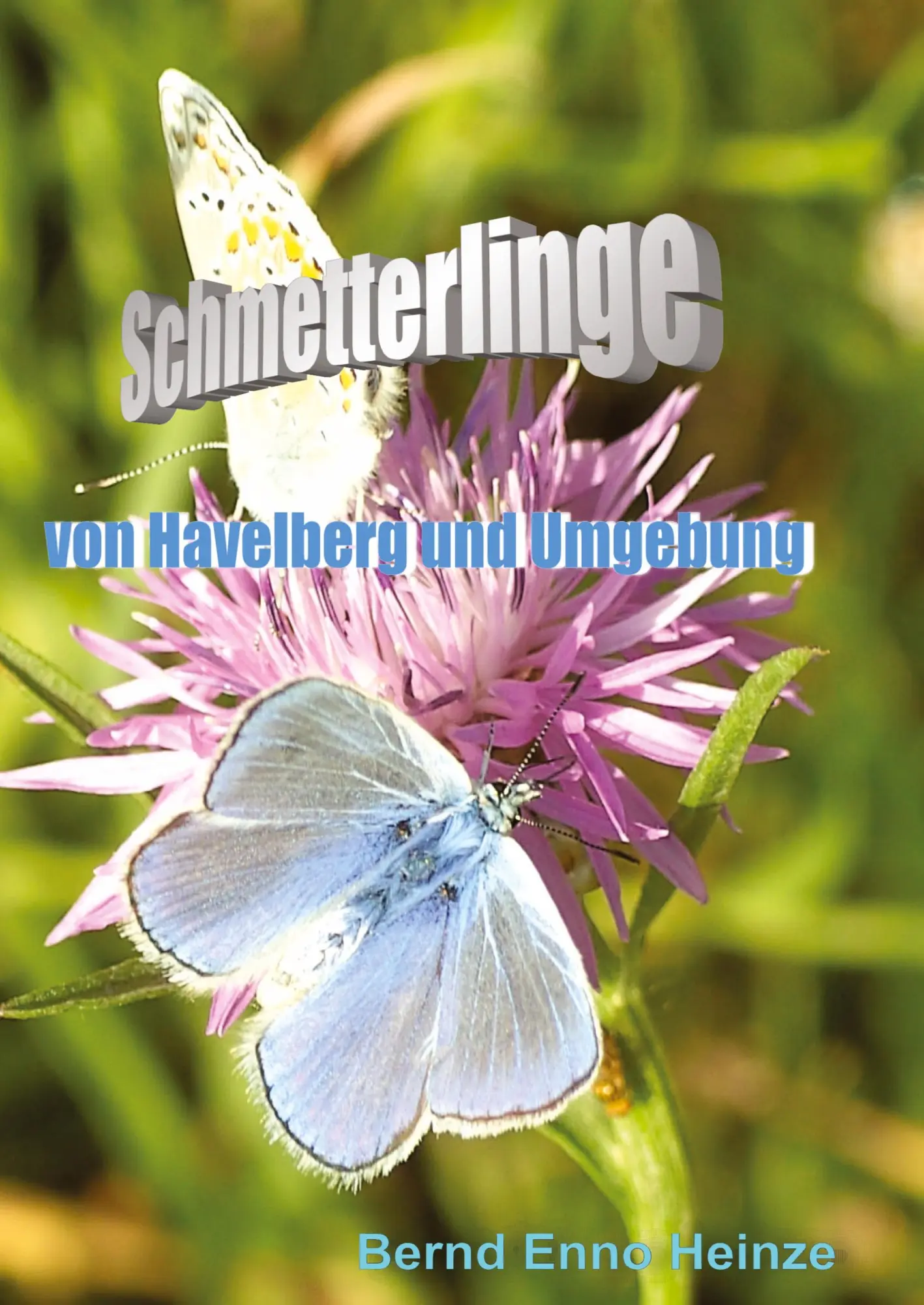 Cover: 9783384286611 | Schmetterlinge von Havelberg und Umgebung | Bernd Heinze | Buch | 2024