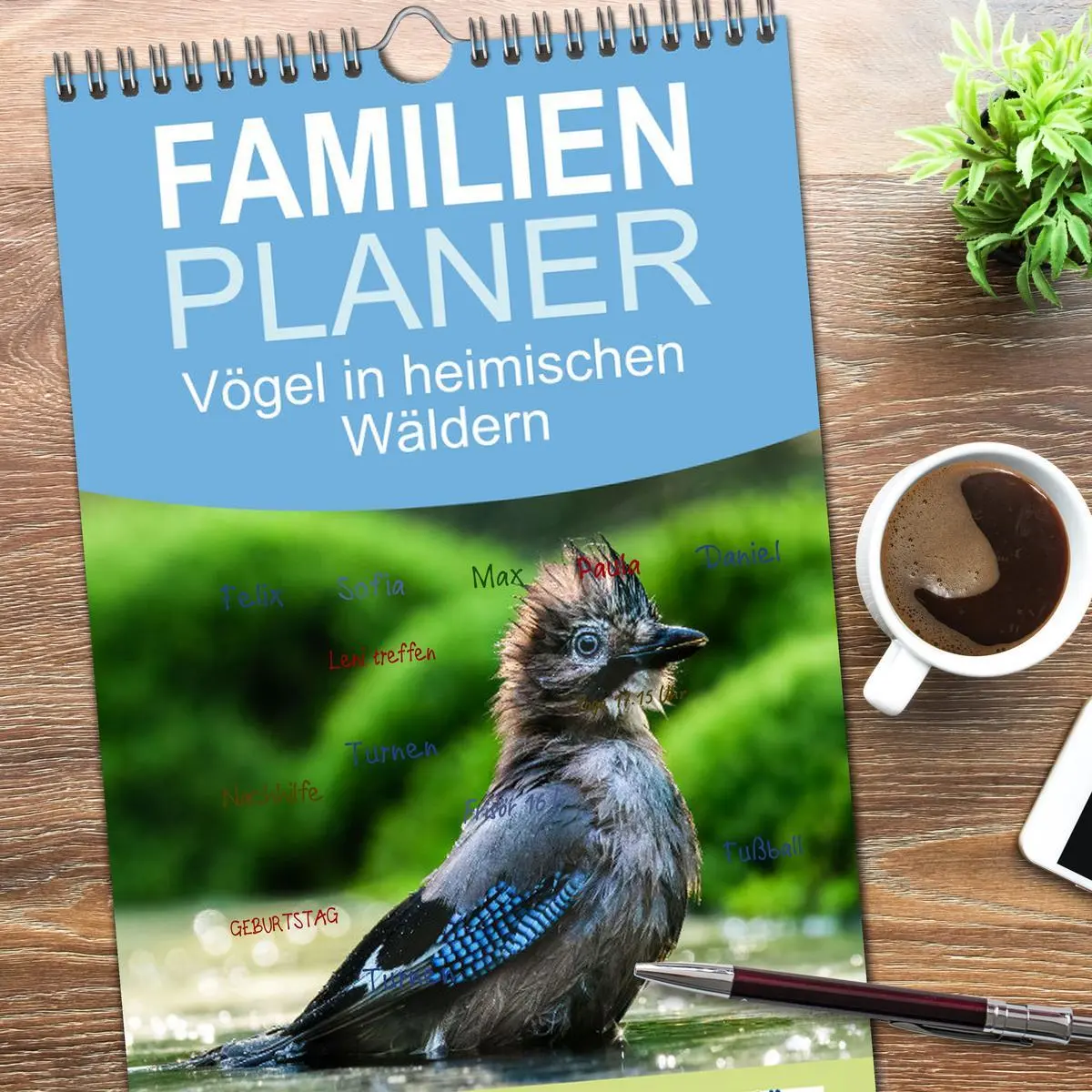 Bild: 9783516496611 | Familienplaner 2026 - Vögel in heimischen Wäldern mit 5 Spalten...