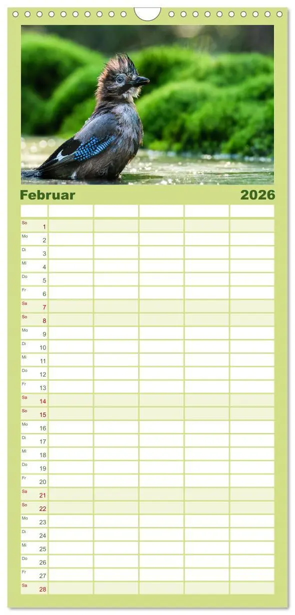 Bild: 9783516496611 | Familienplaner 2026 - Vögel in heimischen Wäldern mit 5 Spalten...