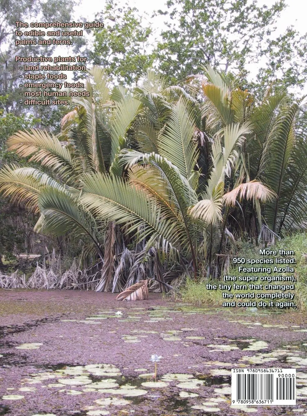 Rückseite: 9780958636711 | Permaculture Plants | Palms and Ferns | Jeff Nugent | Buch | Gebunden
