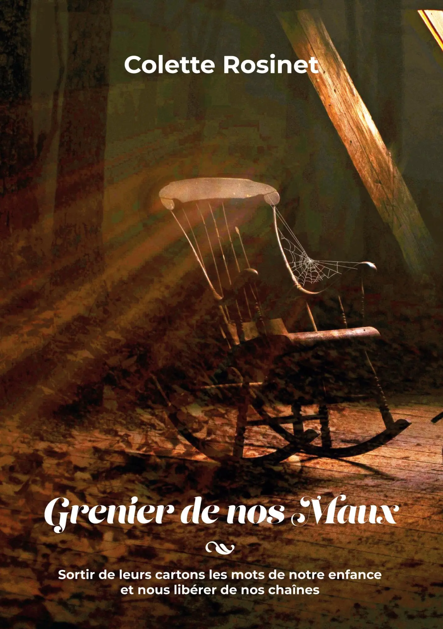 Cover: 9782322376711 | Grenier de nos maux | Colette Rosinet | Taschenbuch | Französisch